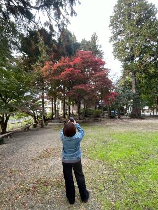 胡宮神社の参拝記録(かまちゃんさん)