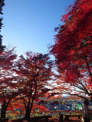 胡宮神社の参拝記録(かいちゃんさん)