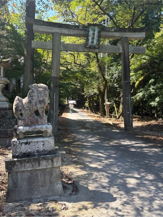 胡宮神社の参拝記録10