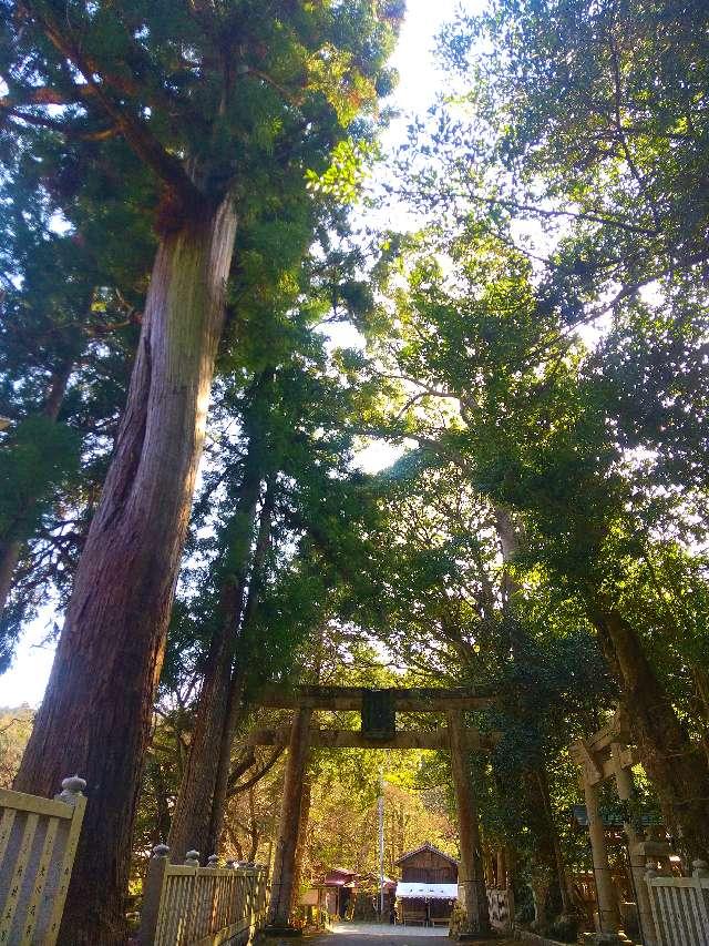 滋賀県犬上郡多賀町富之尾1585 大瀧神社の写真2