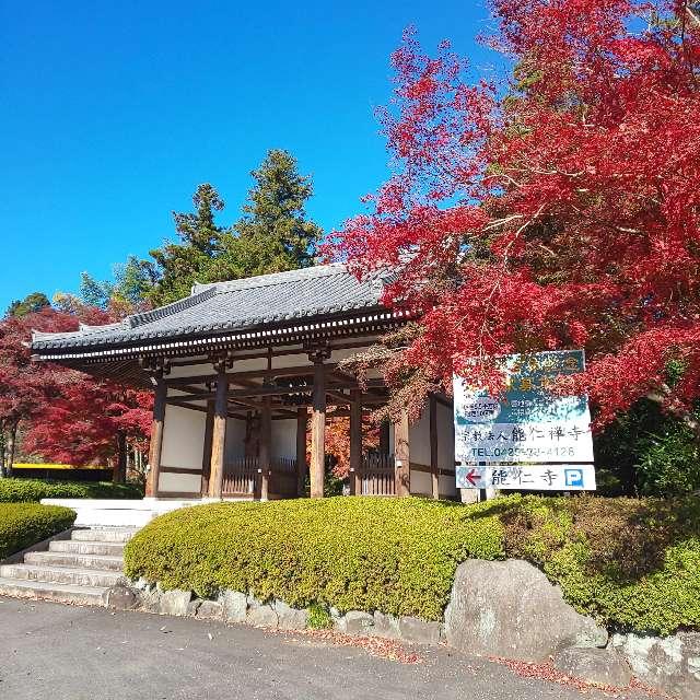 埼玉県飯能市飯能1329 武陽山能仁寺の写真4