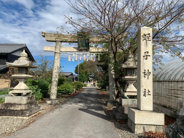 蛭子神社の参拝記録3