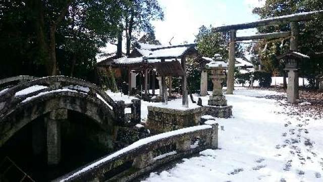 滋賀県米原市宇賀野835-2 坂田神明宮の写真4