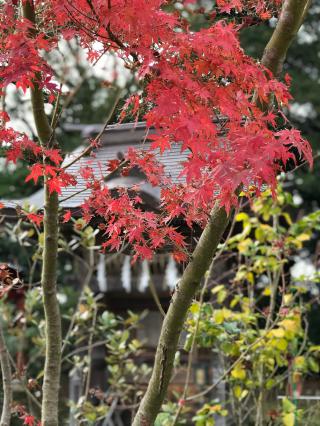 福祐山　本迹寺の参拝記録(さんさん)