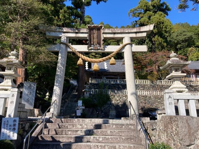 日吉神社の参拝記録(たくみさん)