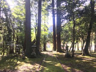 大見神社の参拝記録(じゃすてぃさん)