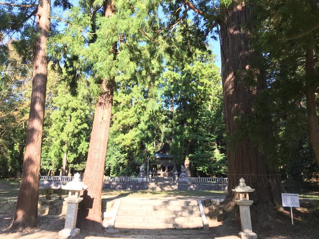 滋賀県長浜市余呉町坂口290 意波閇神社の写真2