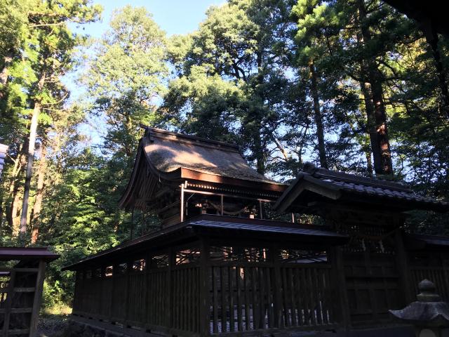 滋賀県長浜市余呉町坂口290 意波閇神社の写真3