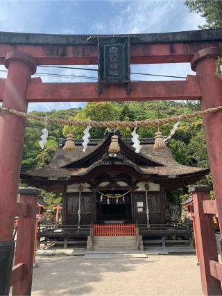 白鬚神社(白髭神社)の参拝記録(もそもそ🤗さん)