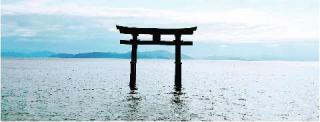白鬚神社の参拝記録(ゆとさん)