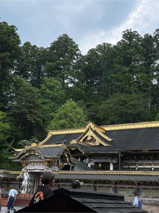 日光東照宮の参拝記録(⛩️🐉🐢まめ🐢🐉⛩️さん)