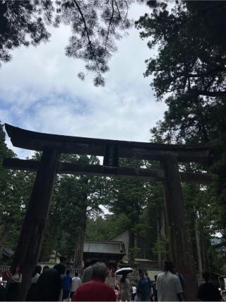 日光東照宮の参拝記録(⛩️🐍🐢まめ🐢🐍⛩️さん)