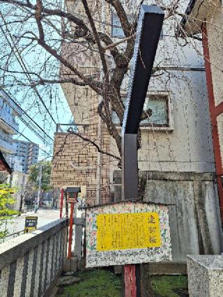 吉原神社の参拝記録(まーさんさん)