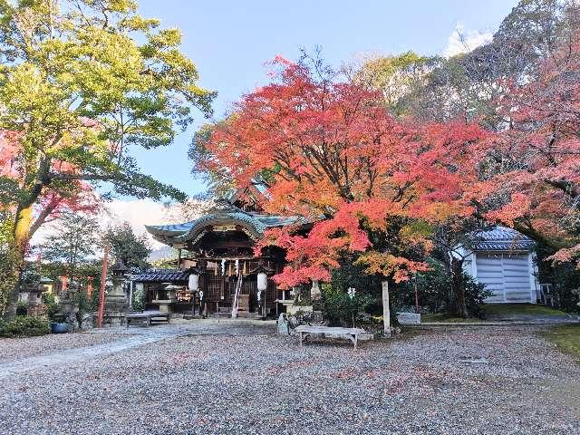 粟田神社の参拝記録8