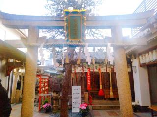 市比賣神社（市比売神社）の参拝記録(miyumikoさん)