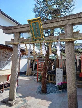 市比賣神社（市比売神社）の参拝記録(にるぼんさん)