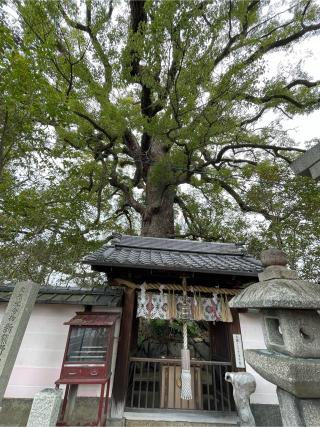 新熊野神社の参拝記録(xiao-chiさん)