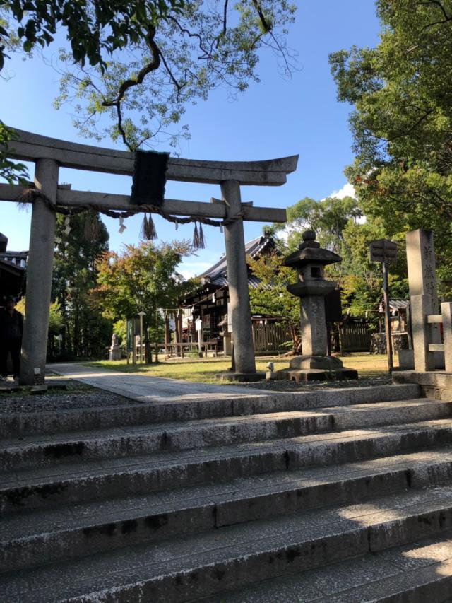 新熊野神社の参拝記録(mmかずやmmさん)