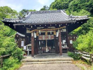 新熊野神社の参拝記録(飛成さん)
