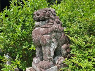 新熊野神社の参拝記録(飛成さん)