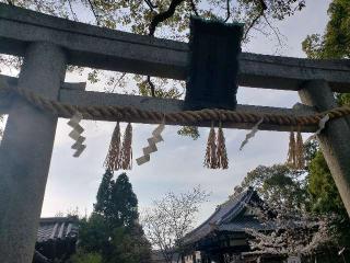 新熊野神社の参拝記録(すみれさん)