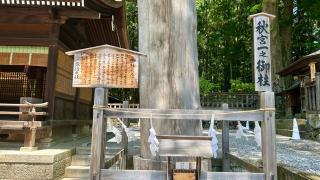 諏訪大社下社秋宮の参拝記録(金猿さん)