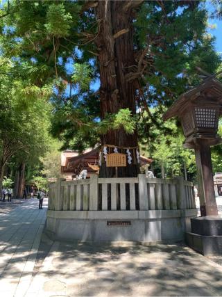 諏訪大社下社秋宮の参拝記録(古事記追随さん)