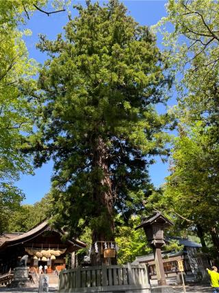 諏訪大社下社秋宮の参拝記録(Nabeさん)