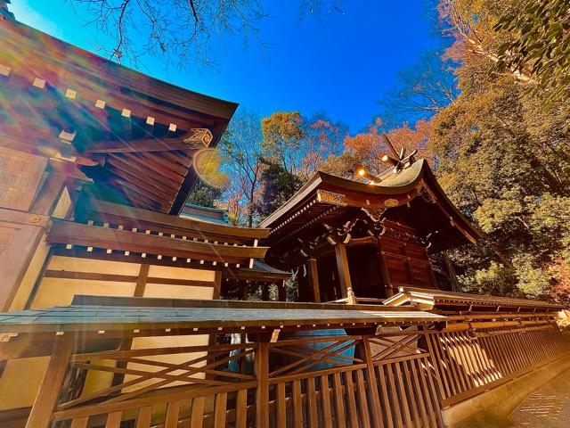 貫井神社（貫井弁天）の参拝記録10