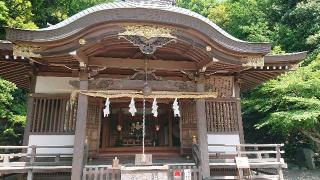 貫井神社（貫井弁天）の参拝記録(ありさん)