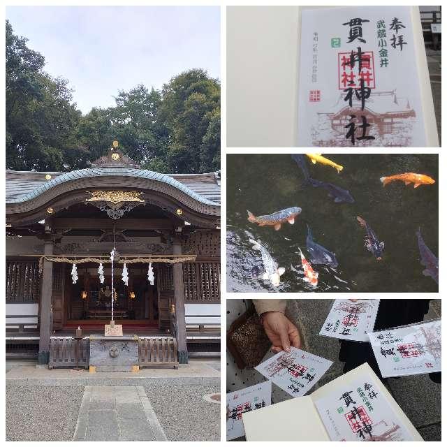 貫井神社（貫井弁天）の参拝記録10