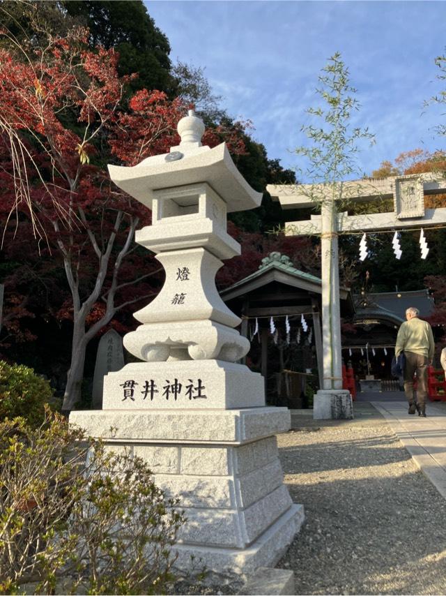 貫井神社（貫井弁天）の参拝記録9