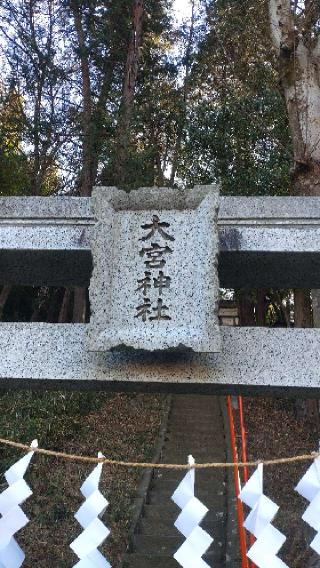 大宮神社の参拝記録(ステイさん)