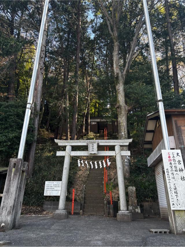 大宮神社の参拝記録4