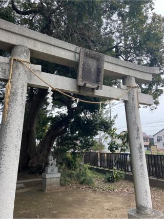 別府神社の参拝記録(⛩️🎠🐢まめ🐢🎠⛩️さん)