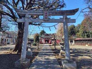 本町南町八幡神社の参拝記録(ロビンさん)