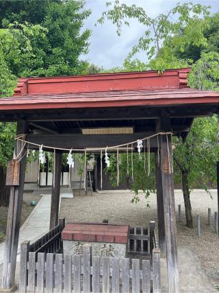 本町南町八幡神社の参拝記録(⛩️🐍🐢まめ🐢🐍⛩️さん)