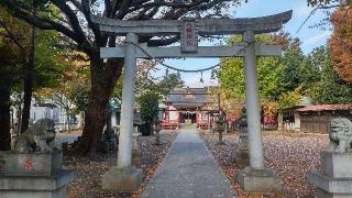 本町南町八幡神社の参拝記録(まっちゃんさん)