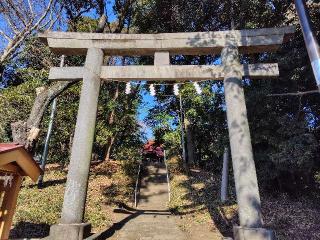 八幡神社（元町八幡神社）の参拝記録(ロビンさん)