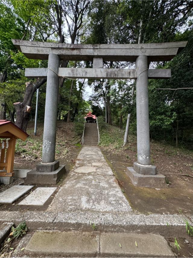 八幡神社（元町八幡神社）の参拝記録8