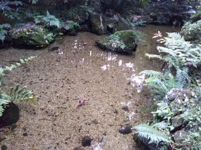 東京都国分寺市西元町1-13 真姿の池弁財天の写真2