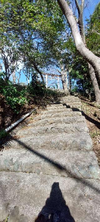 日吉神社の参拝記録(まーぼーさん)