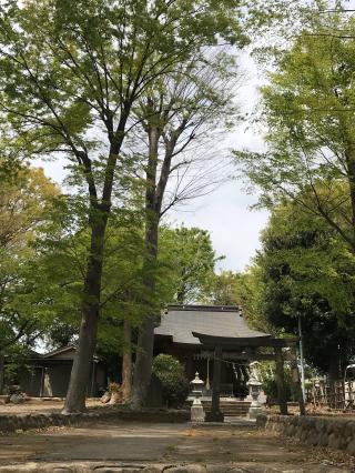 八雲神社（天王宮八雲神社）の参拝記録(全増二郎さん)