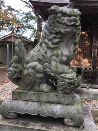 八雲神社（天王宮八雲神社）の参拝記録(fezさん)