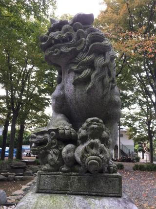 八雲神社（天王宮八雲神社）の参拝記録(fezさん)