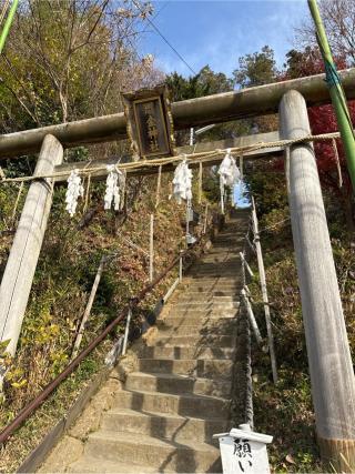 思金神社の参拝記録(⛩️🐍🐢まめ🐢🐍⛩️さん)