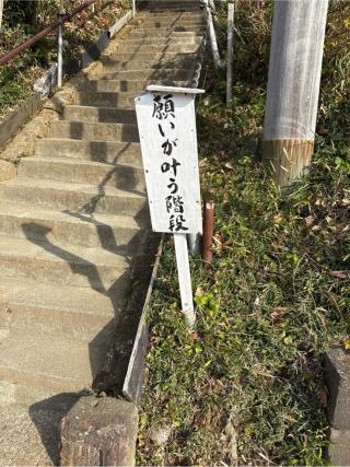 思金神社の参拝記録(⛩️🐍🐢まめ🐢🐍⛩️さん)