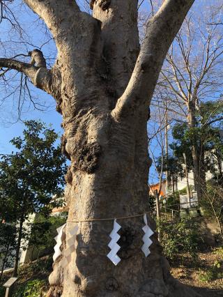瀧神社の参拝記録(ゆっきーさん)