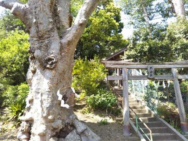 東京都府中市清水が丘2-37 瀧神社の写真2
