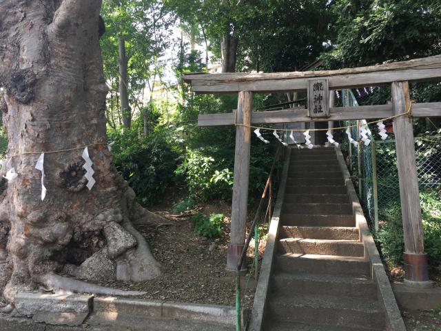 瀧神社の参拝記録10